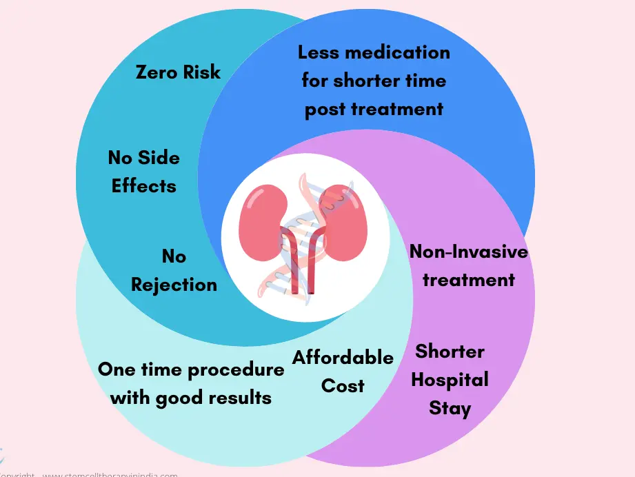 Eine Grafik, die die potenziellen Vorteile der Stammzelltherapie bei der Nierenbehandlung zeigt