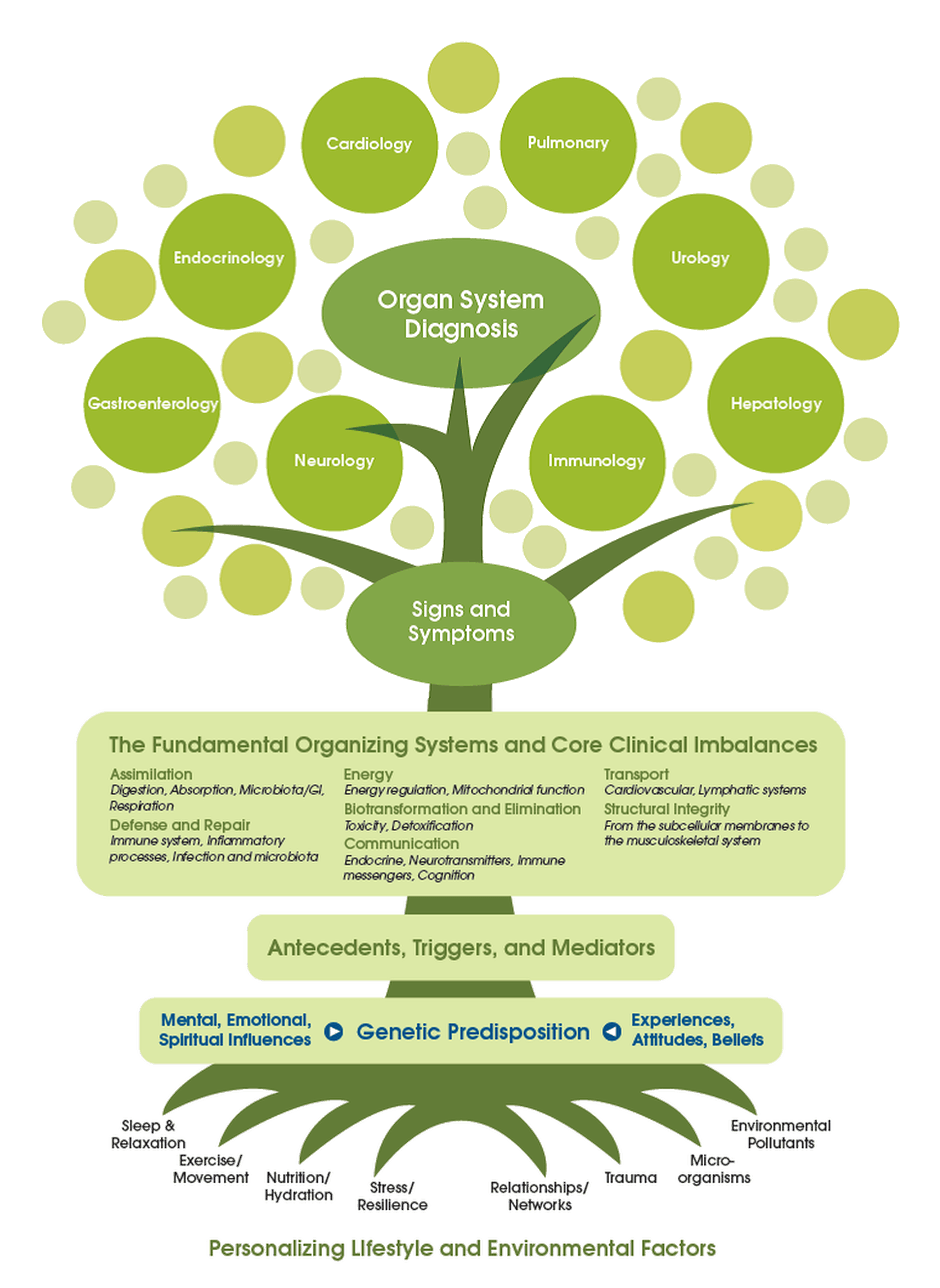 Functional medicine tree diagramm