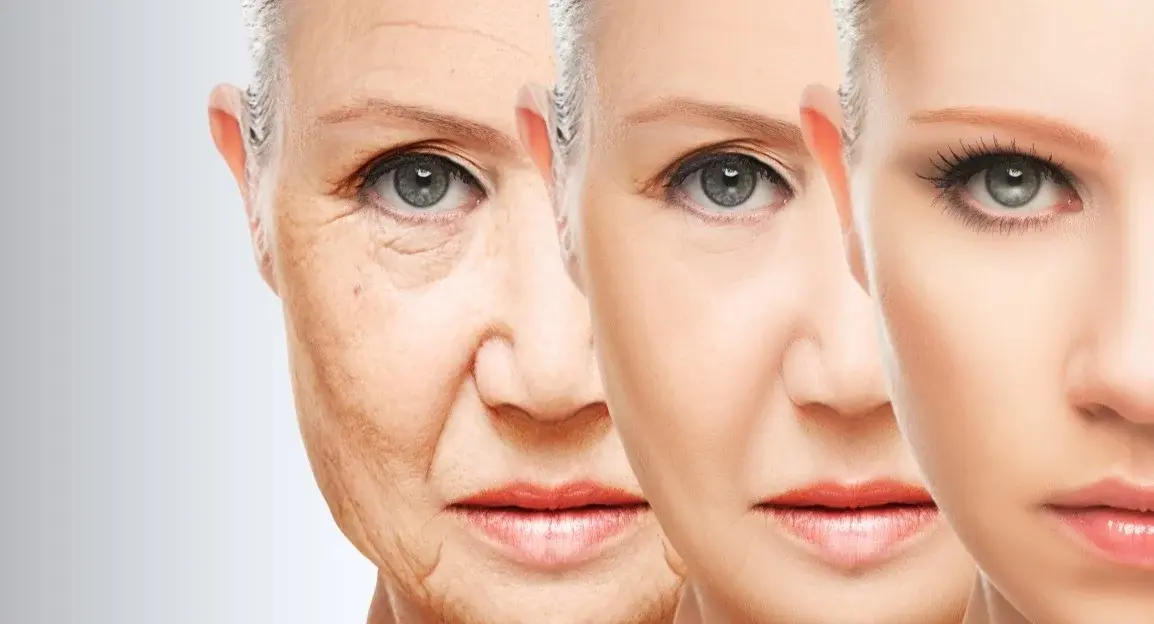 Stammzellen und Anti-Aging: Fakt oder Fiktion?