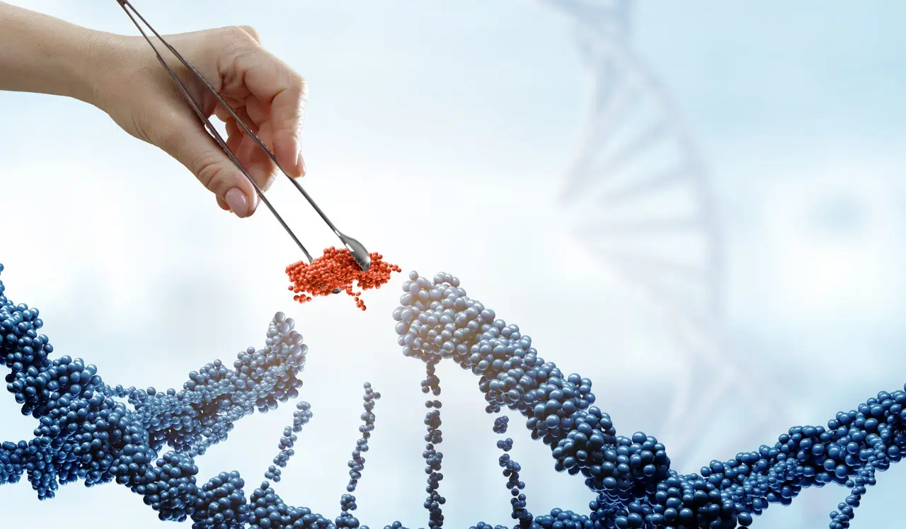 Gen-Editierung und Stammzelltherapie