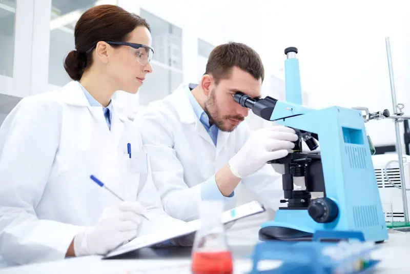 Stammzelltechnologien: Die Zukunft der regenerativen Medizin